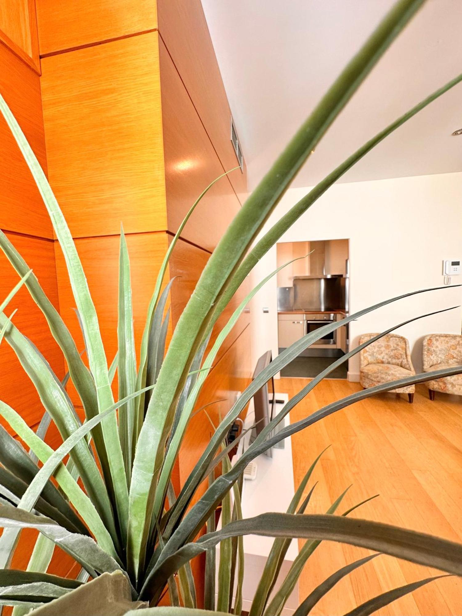 Penthouse Near Cathedral Private Rooftop Private Parking Sevilla Exterior foto